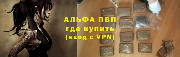 Альфа ПВП Новозыбков