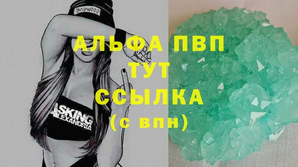 Альфа ПВП Новозыбков