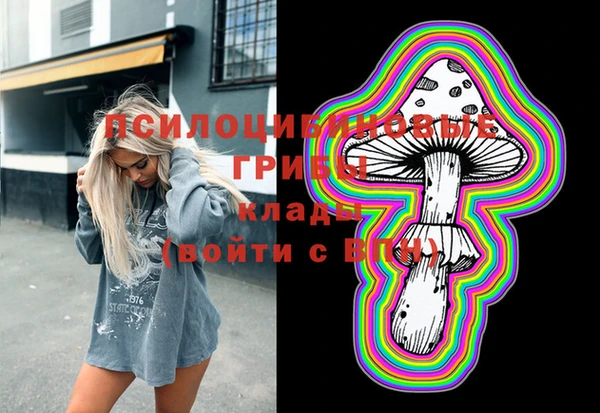 Альфа ПВП Новозыбков