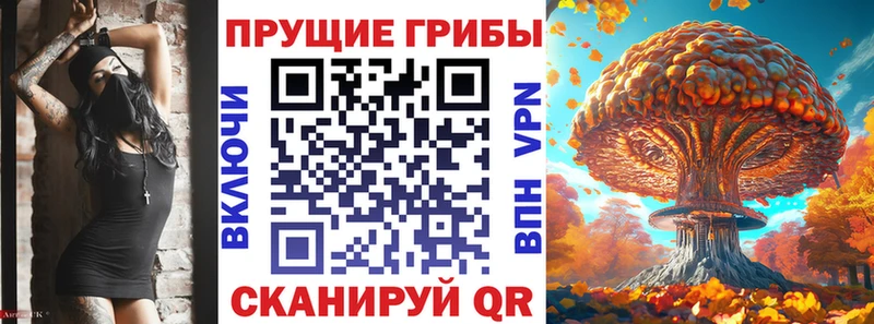 Псилоцибиновые грибы Cubensis Шиханы